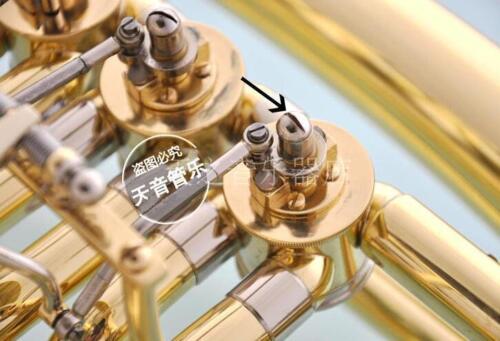 50 pcs New French Horn Euphoni - Musical Instrument Euphonium recension och pris