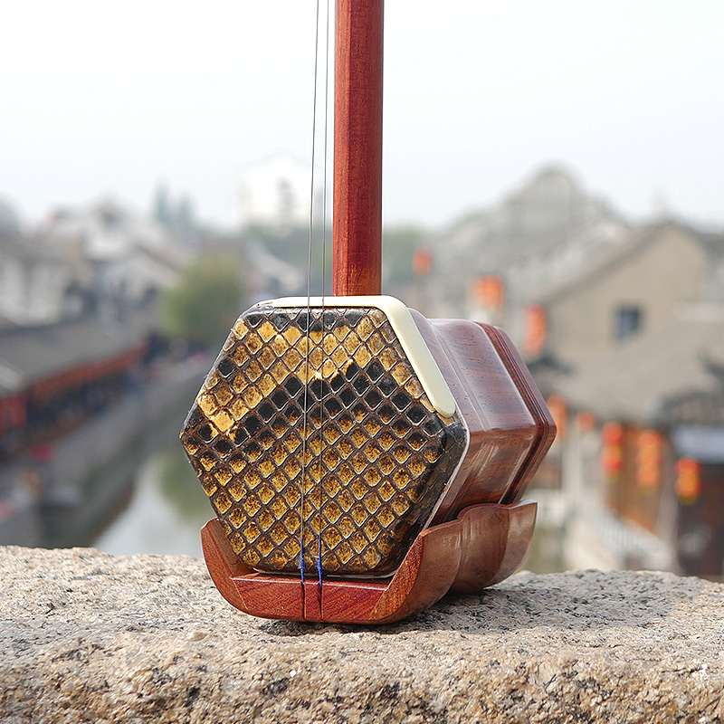 Professional Dunhuang Brand 06 - Musical Instrument Brands recension och pris