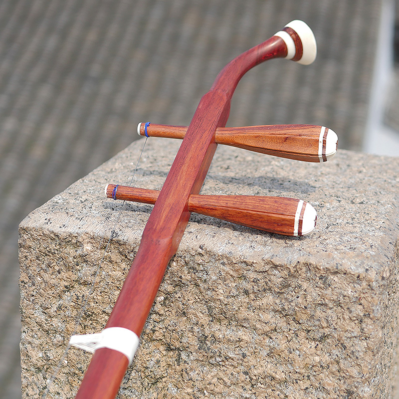 Professional Dunhuang Brand 06 - Musical Instrument Brands recension och pris