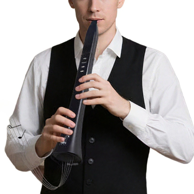 Portable Electronic Wind Instr - Musical Instrument For Beginners recension och pris