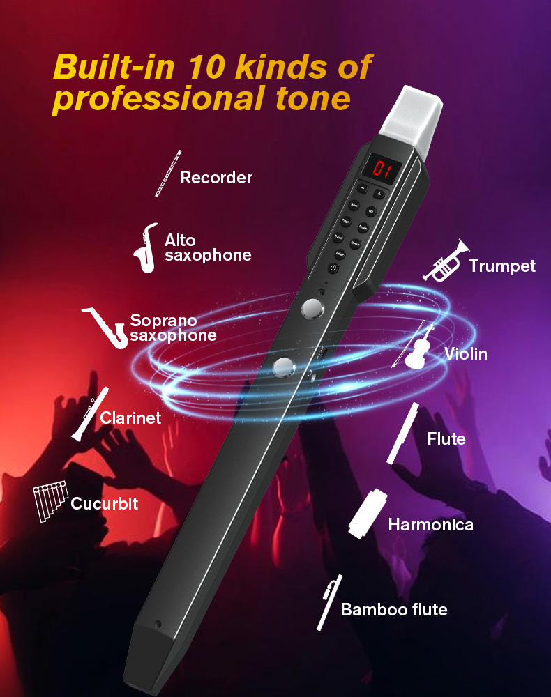 upgrade Mini Digital Electroni - Musical Instrument Euphonium recension och pris