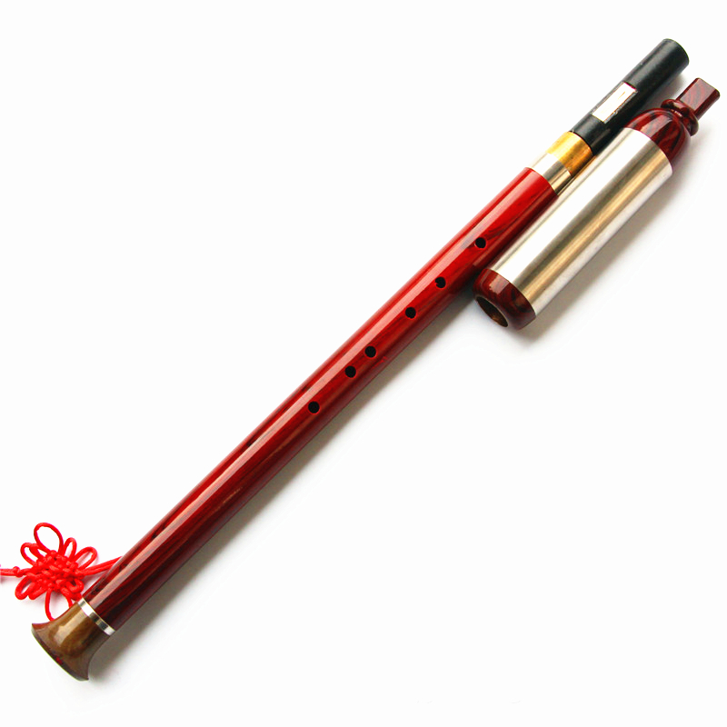 Vertical Playing Bawu Flute F/ - Tin Whistle Flute recension och pris