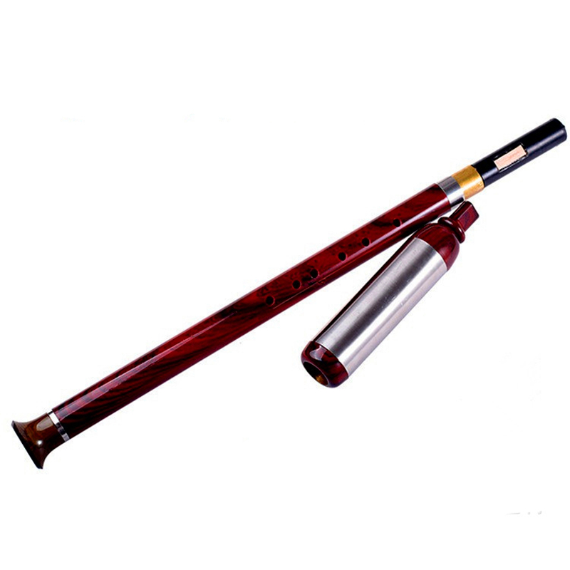 Vertical Playing Bawu Flute F/ - Tin Whistle Flute recension och pris
