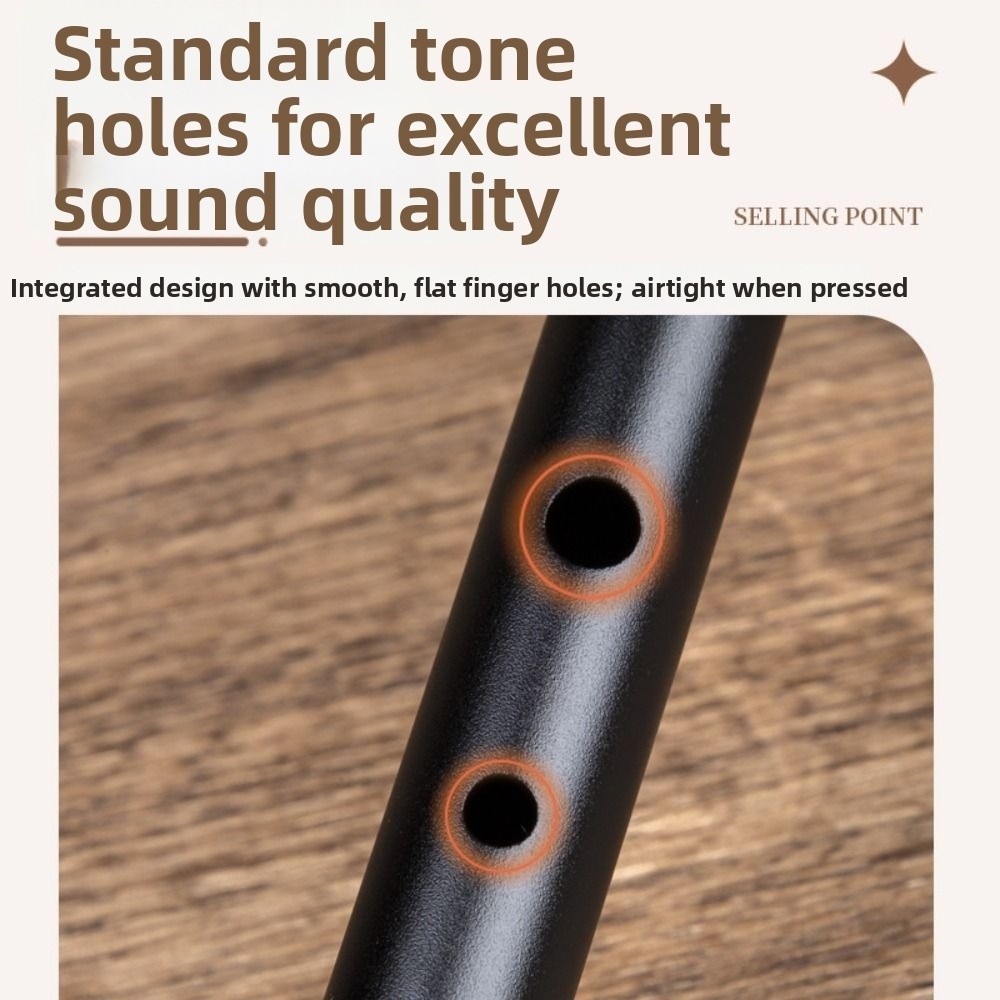 C/D Key Irish Whistle Flute 6  - Tin Whistle Flute recension och pris