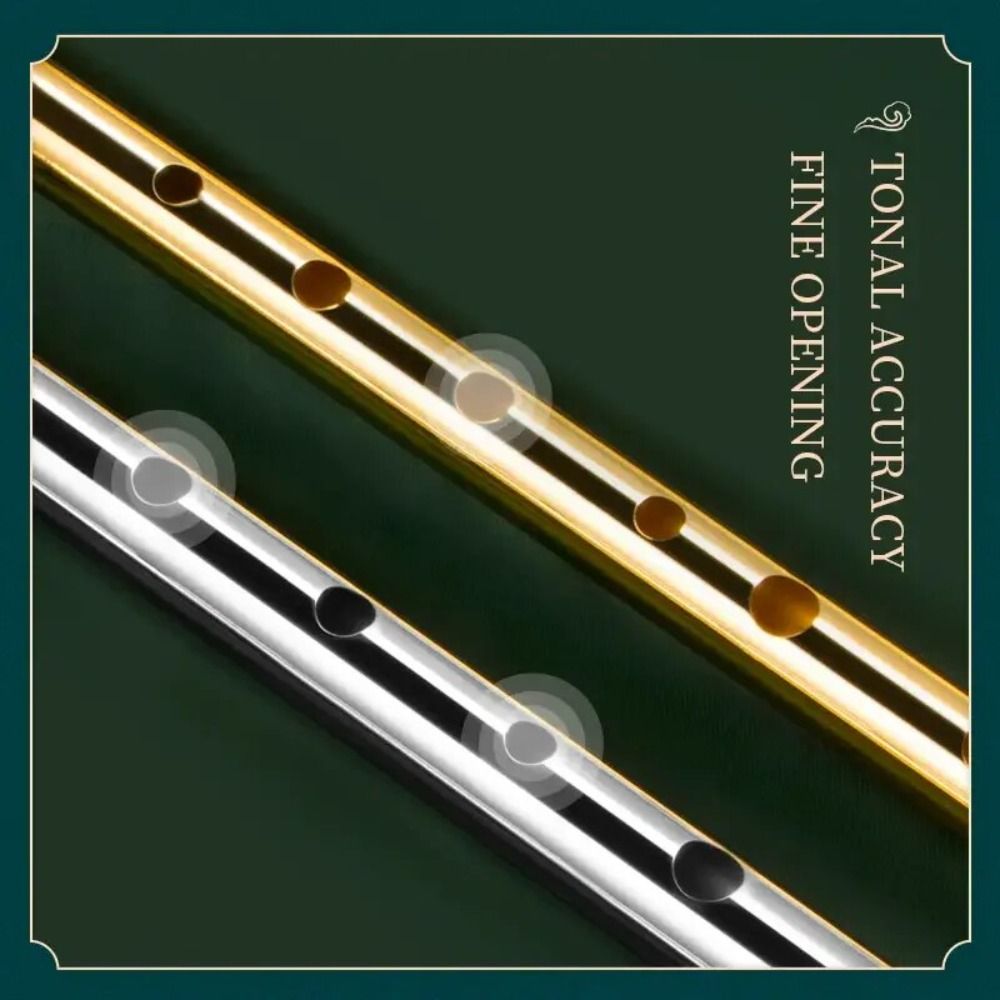 6 Holes C/D Key Irish Whistle  - Tin Whistle Flute recension och pris