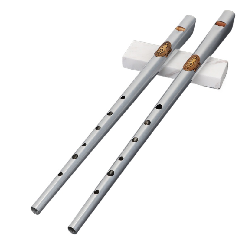 D/C Key Tin Whistle Student Be - Tin Whistle Flute recension och pris
