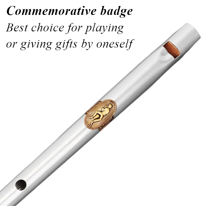 D/C Key Tin Whistle Student Be - Tin Whistle Flute recension och pris