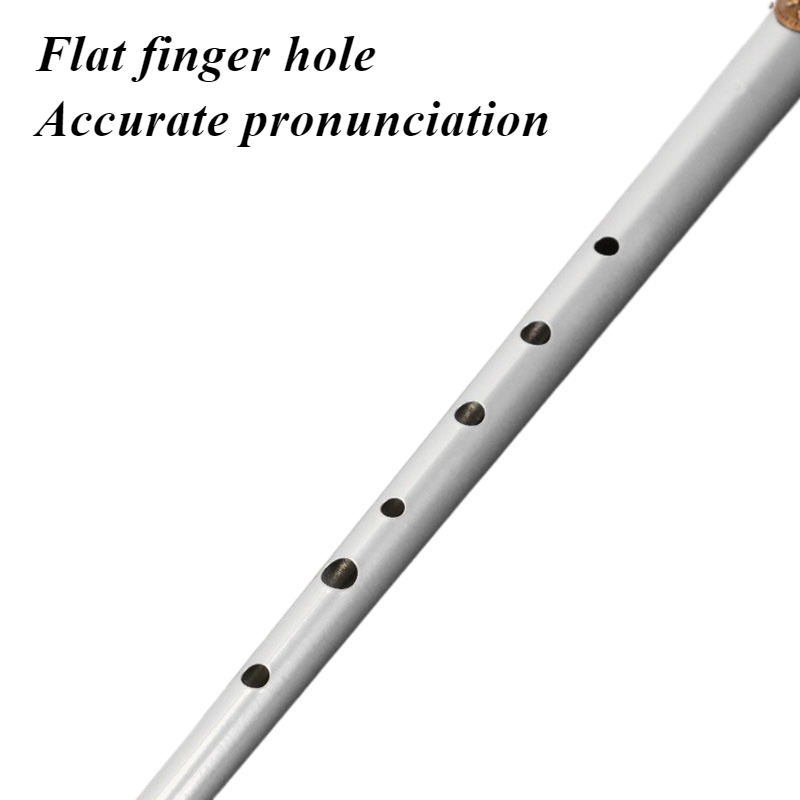 D/C Key Tin Whistle Student Be - Tin Whistle Flute recension och pris