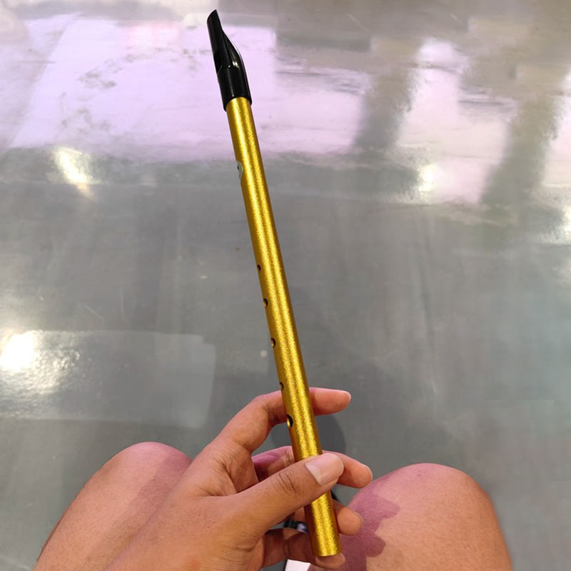 6 Hole Penny Whistle Student P - Tin Whistle Flute recension och pris