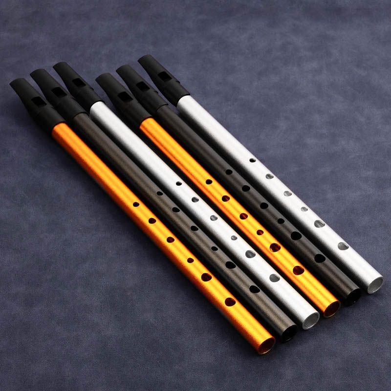6 Hole Penny Whistle Student P - Tin Whistle Flute recension och pris